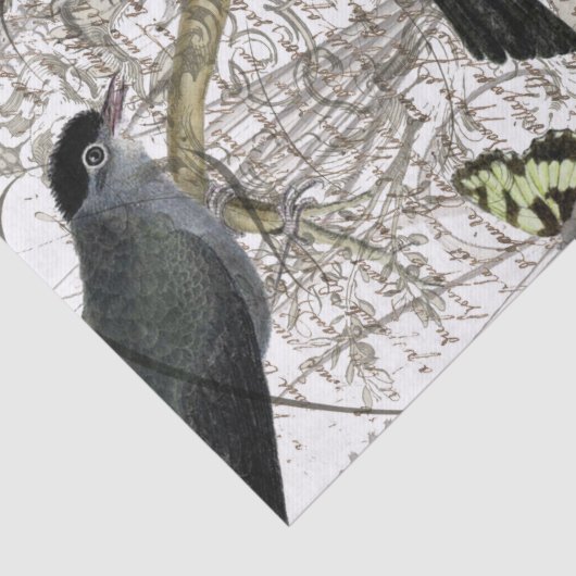 Bird Collage Tissuepapier (Detail)