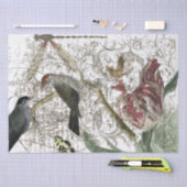 Bird Collage Tissuepapier (Craft)