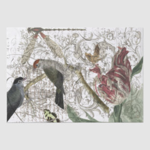 Bird Collage Tissuepapier