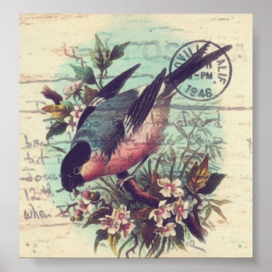 Bird Digital Art Poster (Voorkant)