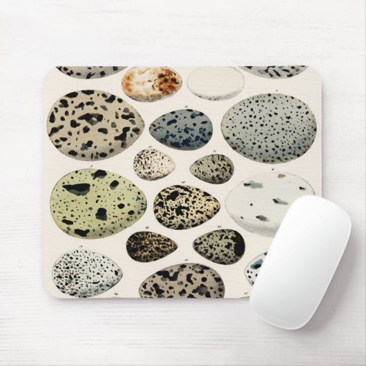 Bird Egg Illustration Muismat (Met muis)
