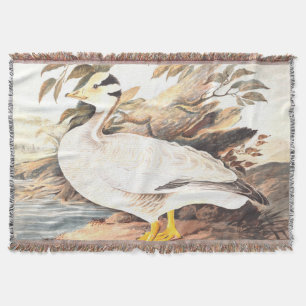  Bird Elizabeth Gwillim Bar-kopgans Deken