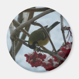 Bird en Berry Magneet