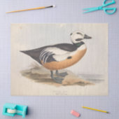 Bird Ephemera Decoupage Duck Tissuepapier (Craft)