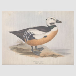 Bird Ephemera Decoupage Duck Tissuepapier
