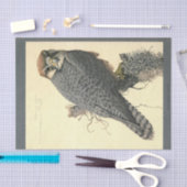 Bird Ephemera Decoupage Falcon Tissuepapier (Craft)