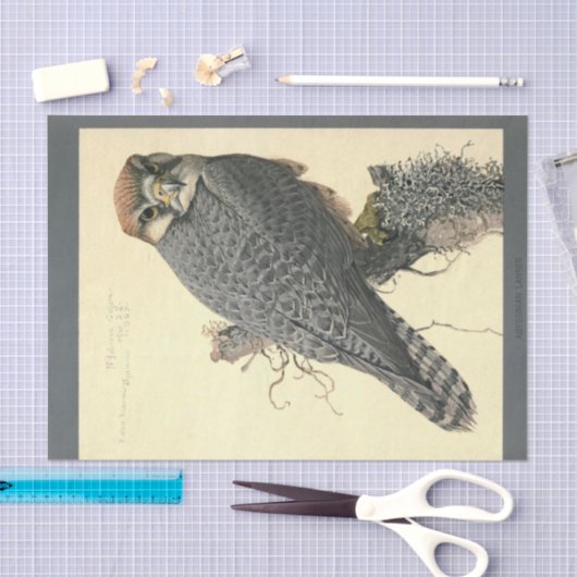 Bird Ephemera Decoupage Falcon Tissuepapier (Craft)