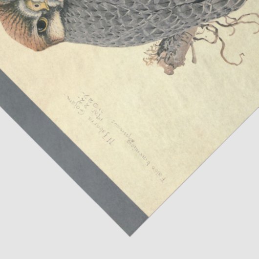 Bird Ephemera Decoupage Falcon Tissuepapier (Detail)