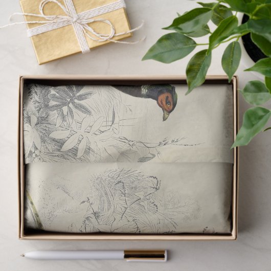 Bird Ephemera Decoupage Franse fazant Tissuepapier (Geschenk)