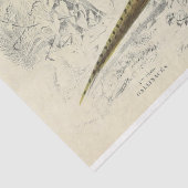 Bird Ephemera Decoupage Franse fazant Tissuepapier (Detail)