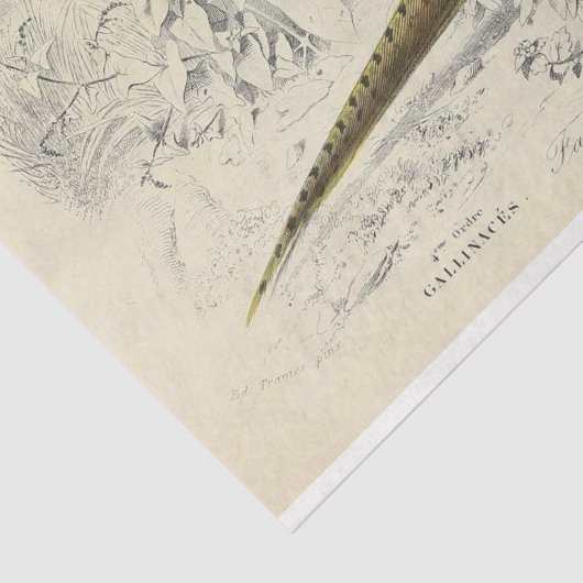 Bird Ephemera Decoupage Franse fazant Tissuepapier (Detail)