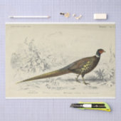 Bird Ephemera Decoupage Franse fazant Tissuepapier (Craft)