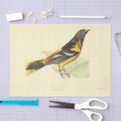 Bird Ephemera Decoupage Geel Sinaasappel Oriole Tissuepapier (Craft)