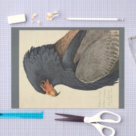 Bird Ephemera Decoupage Grey Eagle Tissuepapier (Craft)