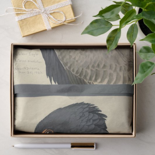 Bird Ephemera Decoupage Grey Eagle Tissuepapier (Geschenk)