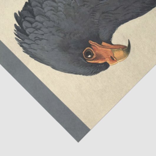 Bird Ephemera Decoupage Grey Eagle Tissuepapier (Detail)