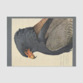 Bird Ephemera Decoupage Grey Eagle Tissuepapier (Voorkant)