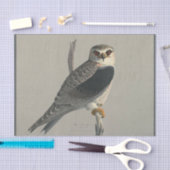 Bird Ephemera Decoupage Grey Hawk Tissuepapier (Craft)