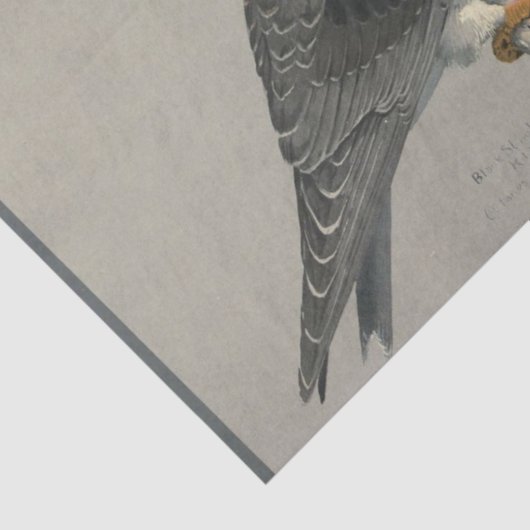 Bird Ephemera Decoupage Grey Hawk Tissuepapier (Detail)