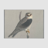 Bird Ephemera Decoupage Grey Hawk Tissuepapier (Voorkant)