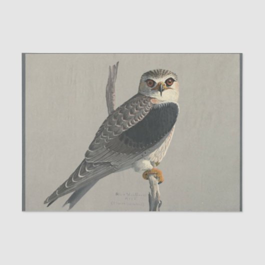 Bird Ephemera Decoupage Grey Hawk Tissuepapier (Voorkant)