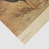 Bird Ephemera Decoupage  Haan Hen Barn Tissuepapier (Detail)