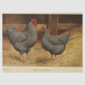 Bird Ephemera Decoupage  Haan Hen Barn Tissuepapier (Voorkant)