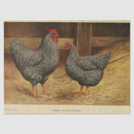 Bird Ephemera Decoupage Haan Hen Barn Tissuepapier