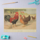 Bird Ephemera Decoupage  Haan Hen Boerderij Tissuepapier (Craft)