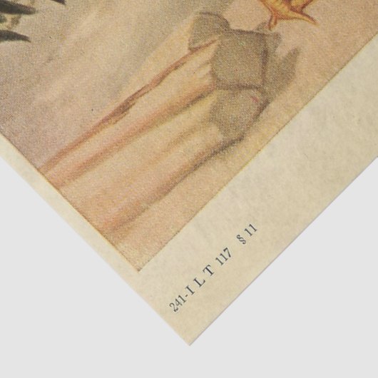 Bird Ephemera Decoupage  Haan Hen Boerderij Tissuepapier (Detail)