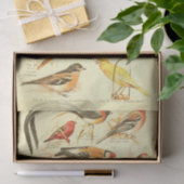 Bird Ephemera Decoupage Kardinaal Tissuepapier (Geschenk)