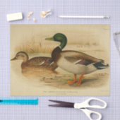 Bird Ephemera Decoupage Mallard Duck  Tissuepapier (Craft)