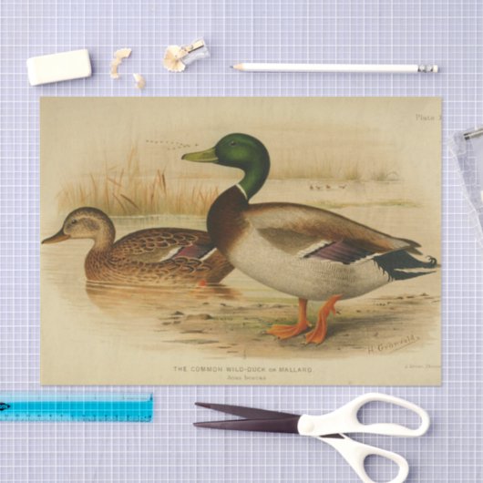 Bird Ephemera Decoupage Mallard Duck  Tissuepapier (Craft)