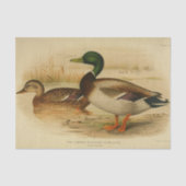 Bird Ephemera Decoupage Mallard Duck  Tissuepapier (Voorkant)