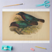 Bird Ephemera Decoupage Paarse Blauwgroen Tissuepapier (Craft)