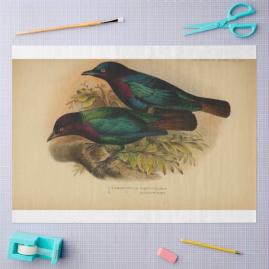 Bird Ephemera Decoupage Paarse Blauwgroen Tissuepapier (Craft)