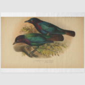 Bird Ephemera Decoupage Paarse Blauwgroen Tissuepapier (Voorkant)