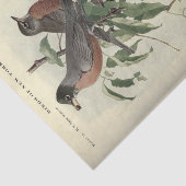 Bird Ephemera Decoupage Robbin Tissuepapier (Detail)