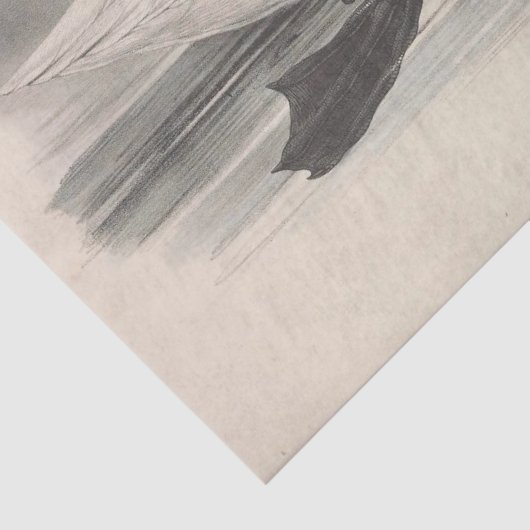 Bird Ephemera Decoupage Tissuepapier (Detail)