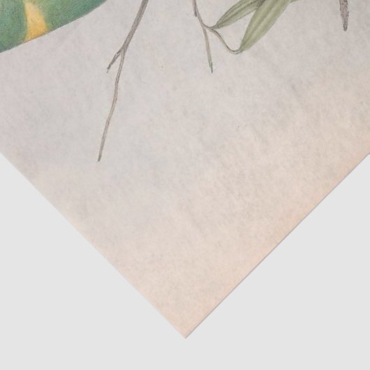 Bird Ephemera Decoupage  Tortelduifjes Tissuepapier (Detail)