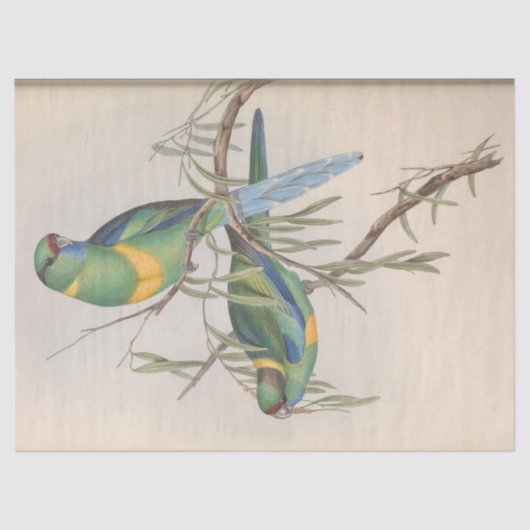 Bird Ephemera Decoupage  Tortelduifjes Tissuepapier (Voorkant)