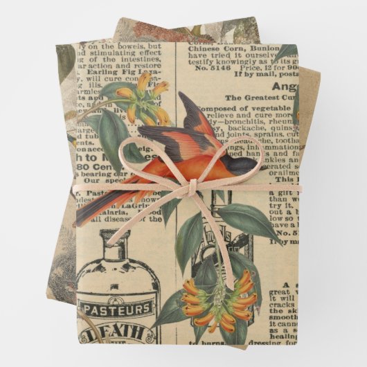  Bird Ephemera Decoupage Wrapping Paper (In situ)
