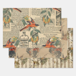  Bird Ephemera Decoupage Wrapping Paper