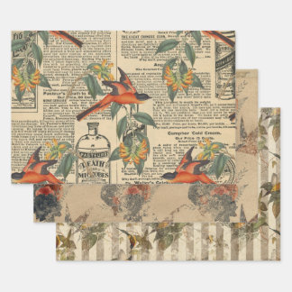  Bird Ephemera Decoupage Wrapping Paper