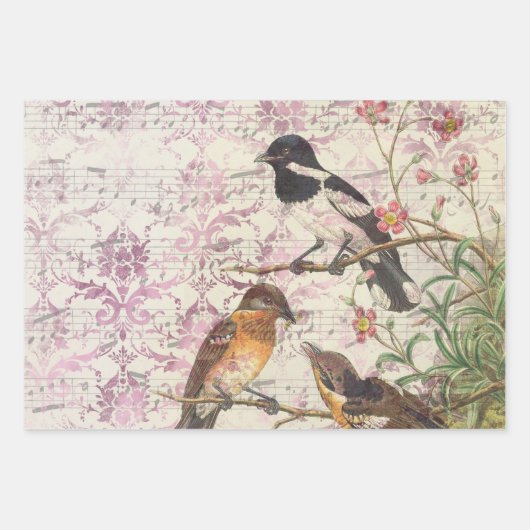  Bird Ephemera Decoupage Wrapping Paper (Voorkant 2)