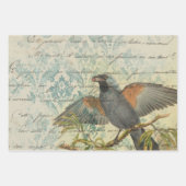 Bird Ephemera Decoupage Wrapping Paper (Voorkant)