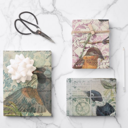 Bird Ephemera Decoupage Wrapping Paper (Voorkant)