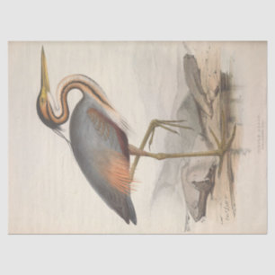 Bird Ephemera ontkoppeling Vintage Heron Nautical Tissuepapier