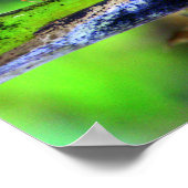 Bird Eye Butterfly Poster (Hoek)