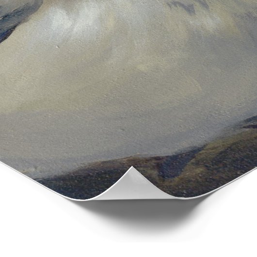 Bird Fairy - Backyard Birds ART PRINT big eye (Hoek)